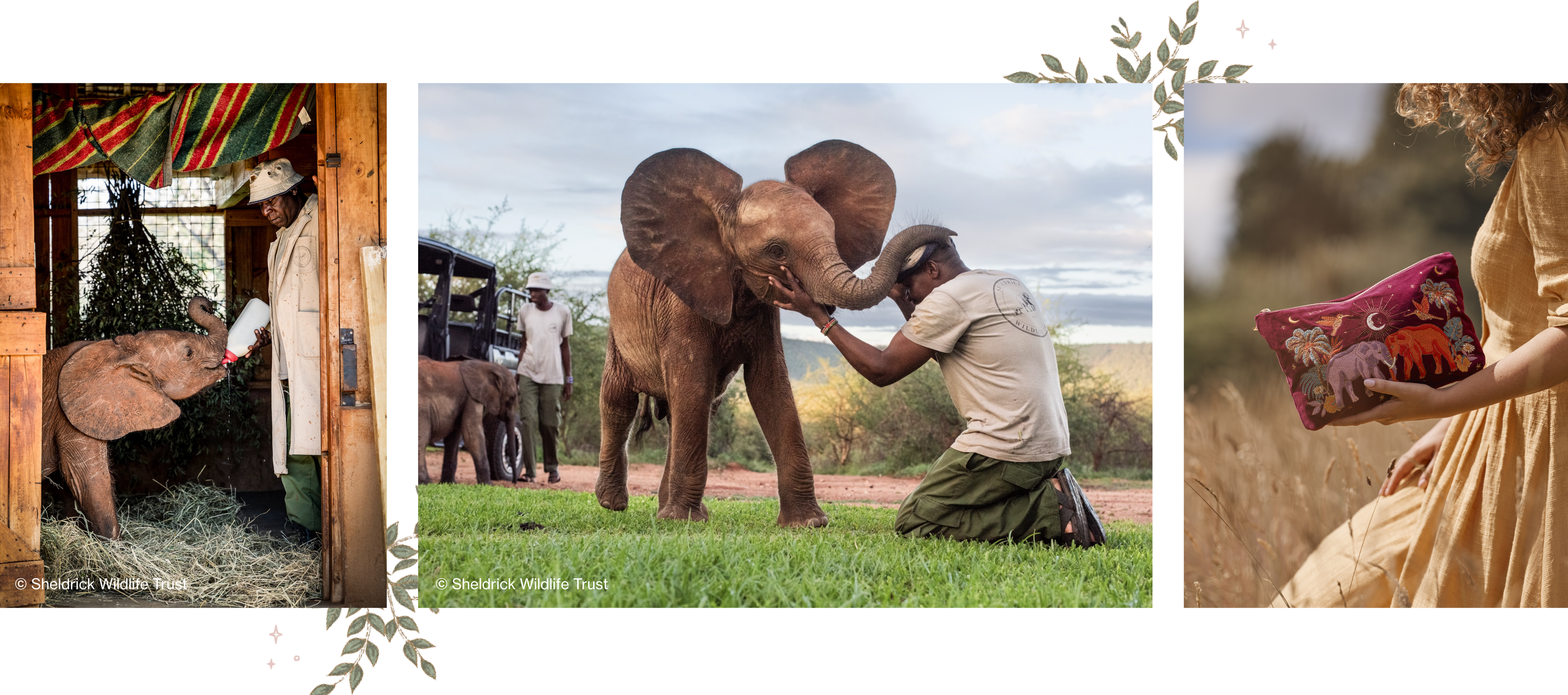 Protecting Orphan Elephants