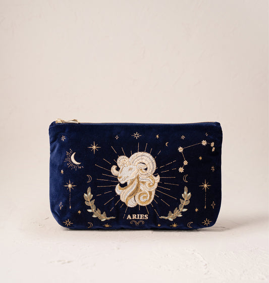 Aries Navy Everyday Pouch