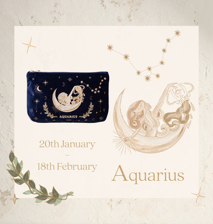 Aquarius Navy Everyday Pouch