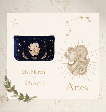 Aries Navy Everyday Pouch