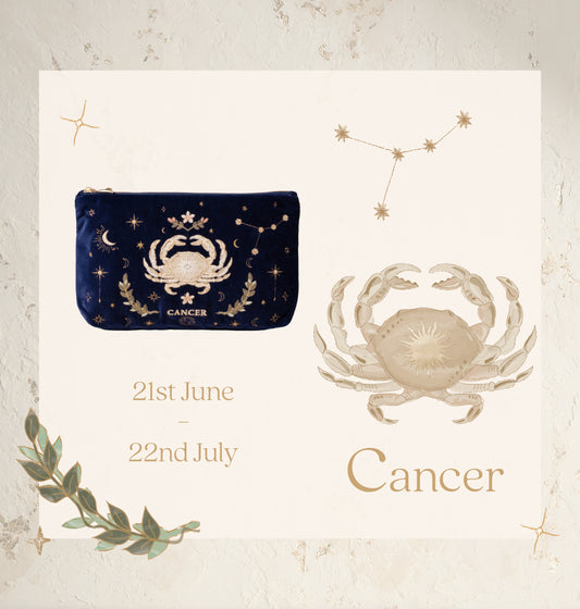 Cancer Navy Everyday Pouch