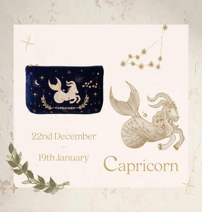 Capricorn Navy Everyday Pouch