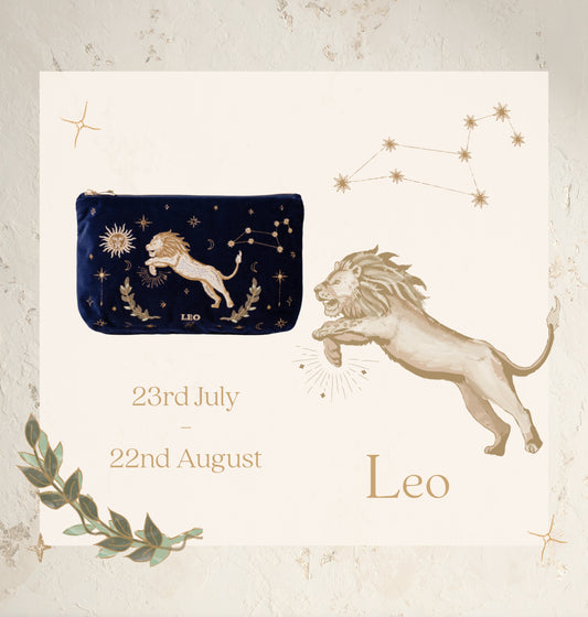 Leo Navy Everyday Pouch