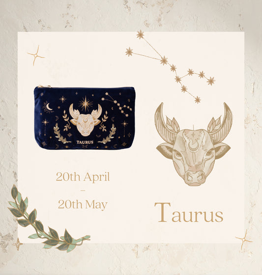 Taurus Navy Everyday Pouch