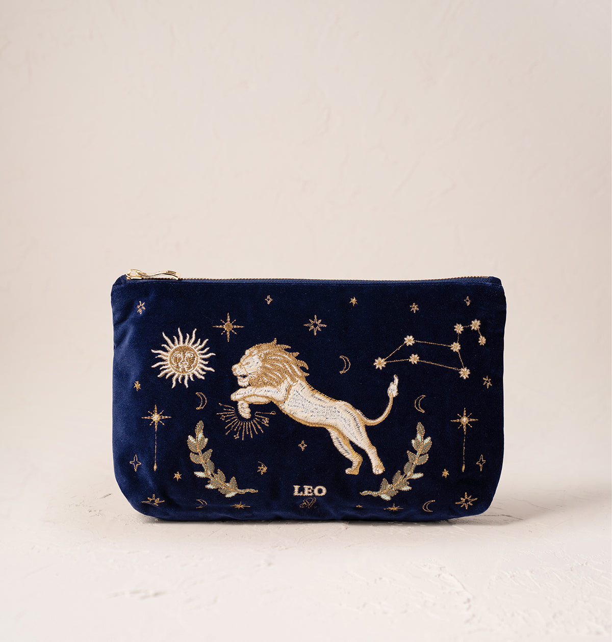 Leo Navy Everyday Pouch